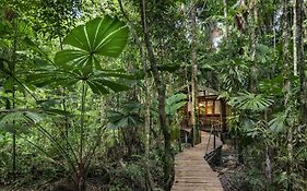 Daintree Wilderness alojamiento